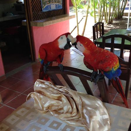 Hotel El Paraiso Escondido - Costa Rica Jacó Kültér fotó