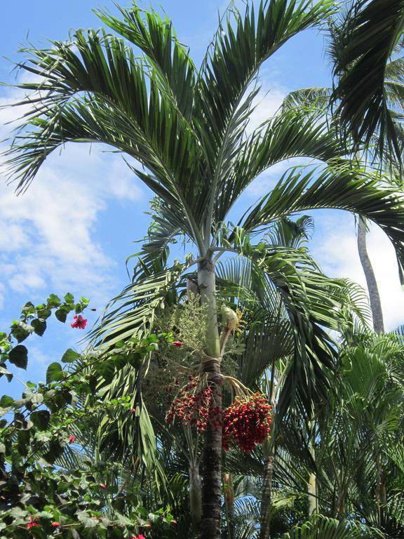 Hotel El Paraiso Escondido - Costa Rica Jacó Kültér fotó