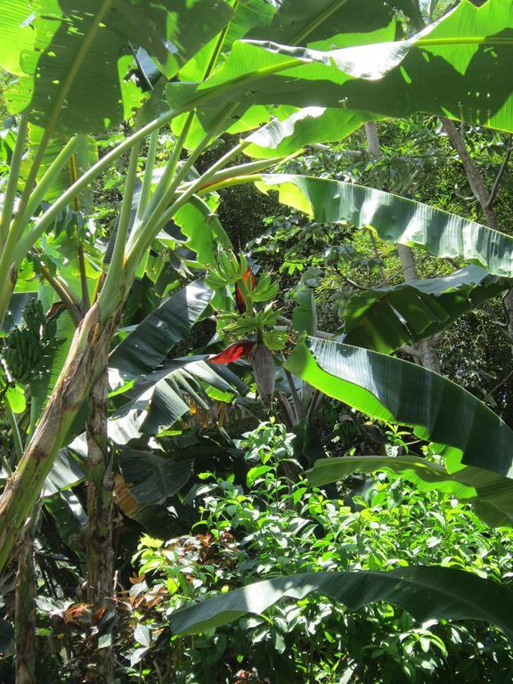 Hotel El Paraiso Escondido - Costa Rica Jacó Kültér fotó