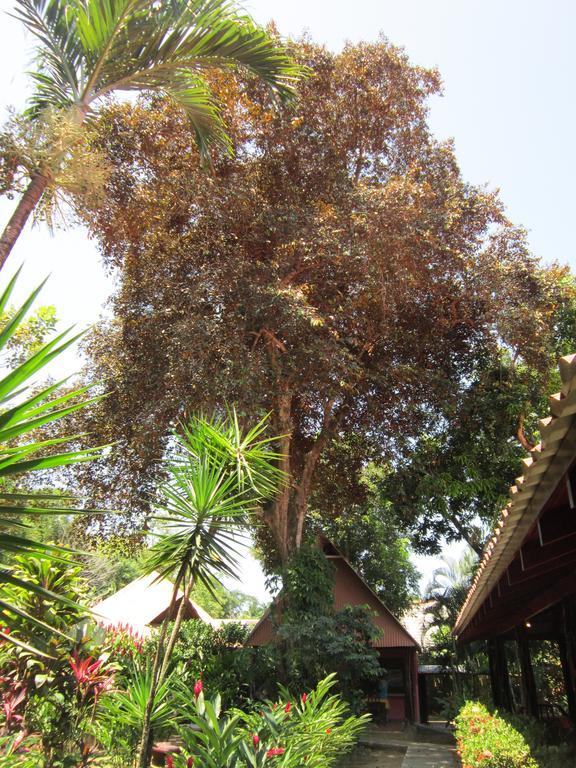 Hotel El Paraiso Escondido - Costa Rica Jacó Szoba fotó