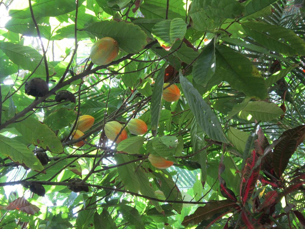 Hotel El Paraiso Escondido - Costa Rica Jacó Kültér fotó