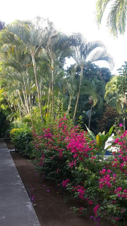 Hotel El Paraiso Escondido - Costa Rica Jacó Kültér fotó