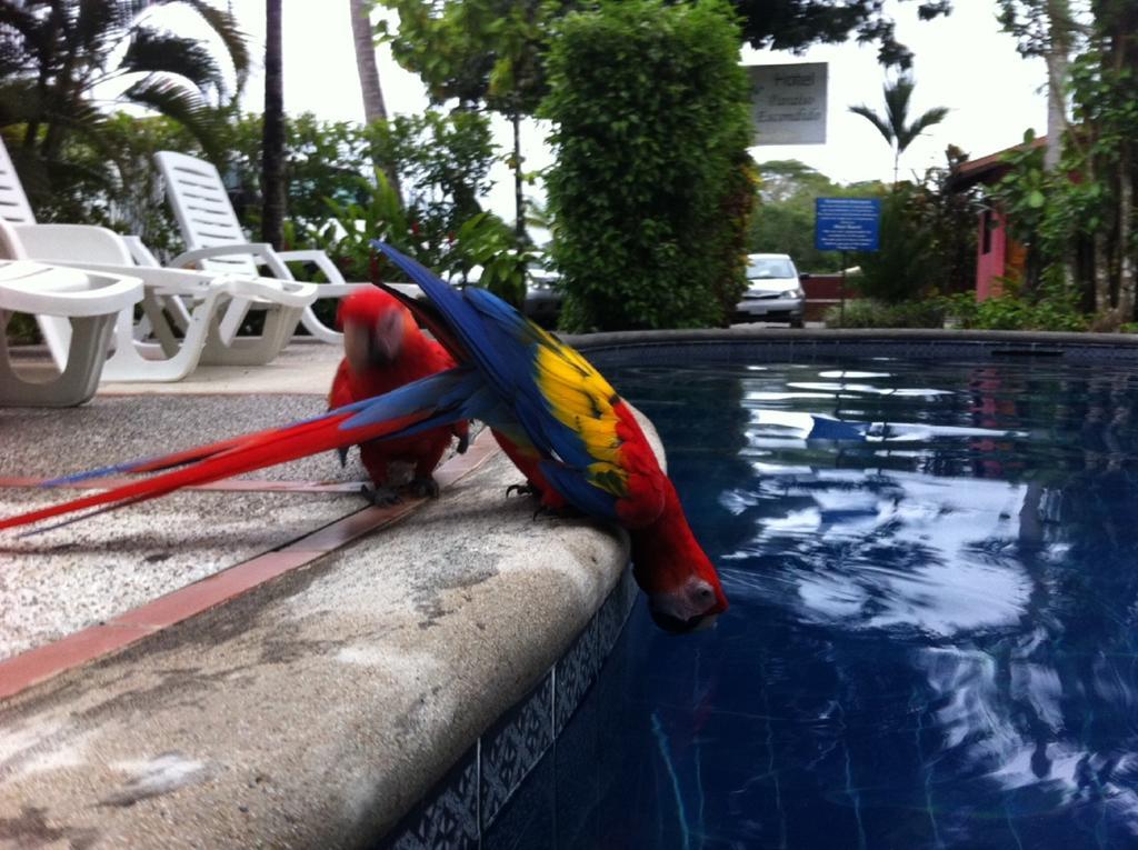 Hotel El Paraiso Escondido - Costa Rica Jacó Kültér fotó