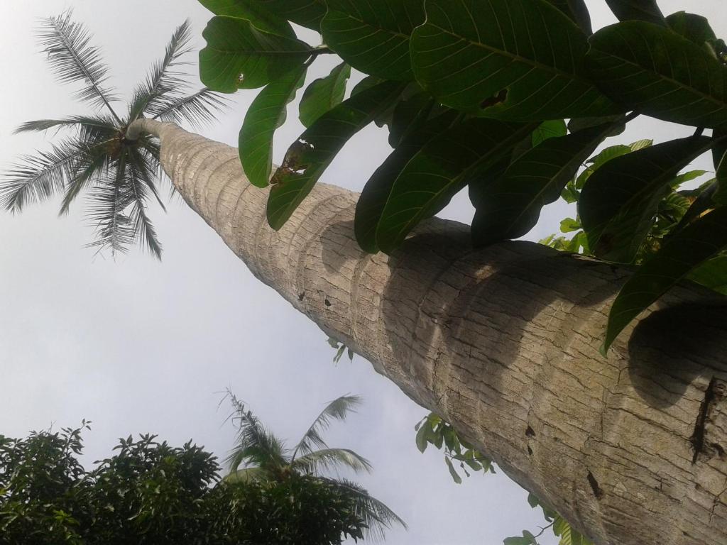 Hotel El Paraiso Escondido - Costa Rica Jacó Kültér fotó