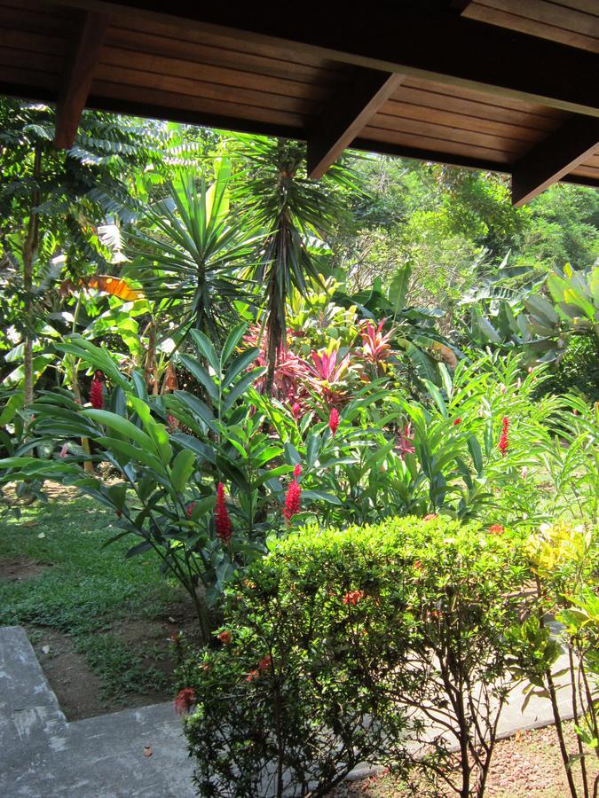 Hotel El Paraiso Escondido - Costa Rica Jacó Kültér fotó